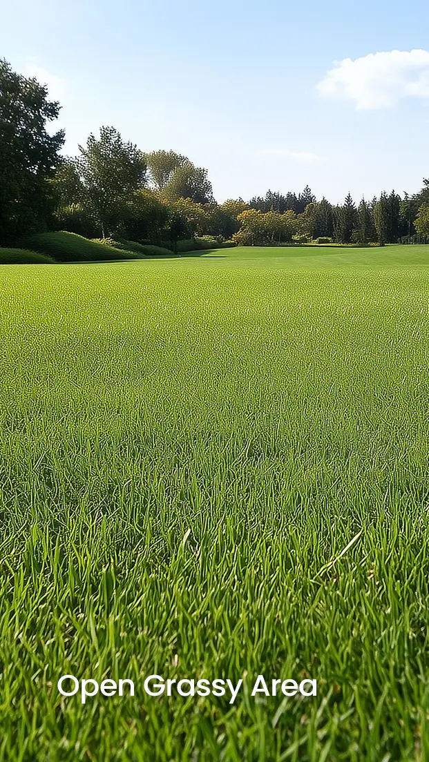 FV2000 robotic mower in an open grassy area, ideal for large lawns.