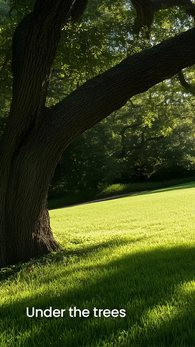 FV2000 robotic mower under the trees in a lush backyard, ideal for this shaded environment.