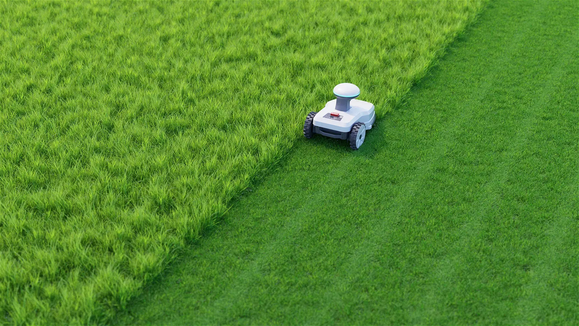 Robot Lawn Mower Before and After